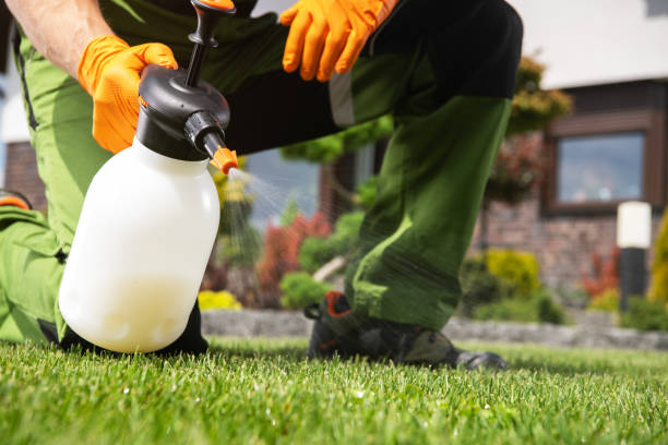 Best Pest Prevention Services  in Raytown, MO