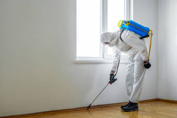 Pest Prevention Services in Raytown, MO