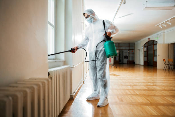 Best Pest Removal Services  in Raytown, MO